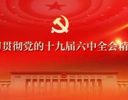 认真学习贯彻党的十九届六中全会精神 为党和国家理论创新作出应有贡献